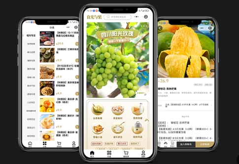 食光與果生鮮小程序開發(fā)